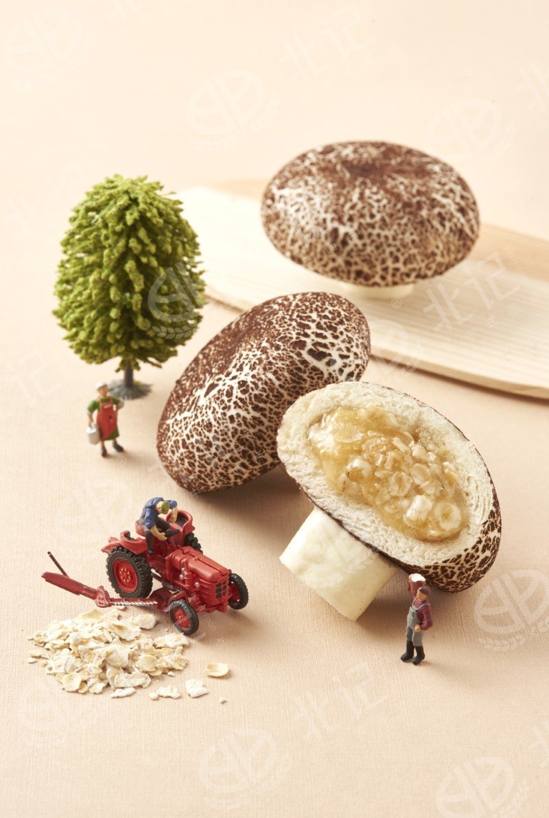 Oatmeal Mushroom Bun